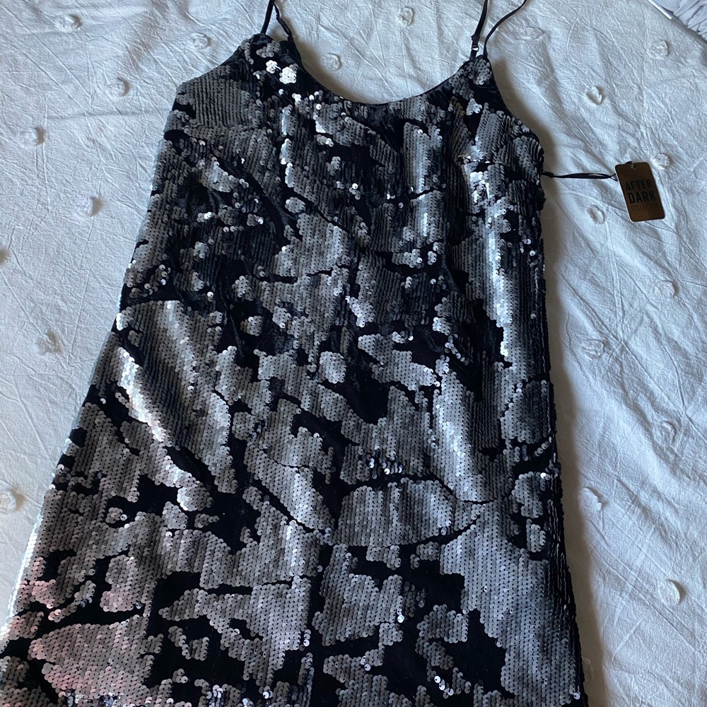Forever21 Sequin and Velvet Slip Dress